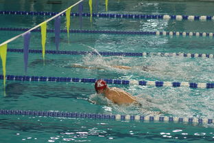 开云平台-世界游泳锦标赛连续夺金，实力证明中国，世界游泳锦标赛举办地